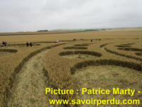 Avebury Stone Circle, Wiltshire crop circle, aerial photo 63